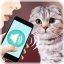 Descargar  Переводчик на кошачий язык