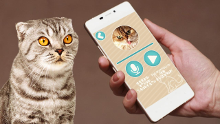 Descargar Переводчик на кошачий язык Entretenimiento para Android captura de pantalla 3