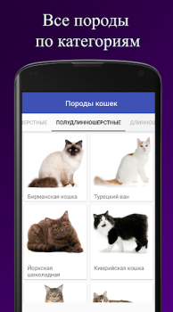 Descargar Породы кошек. Справочник пород Libros y referencia para Android captura de pantalla 2
