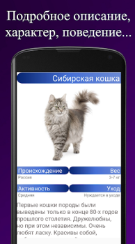 Descargar Породы кошек. Справочник пород Libros y referencia para Android captura de pantalla 3