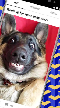 Descargar 9GAG: Funny GIF, Meme & Video Entretenimiento para Android captura de pantalla 2