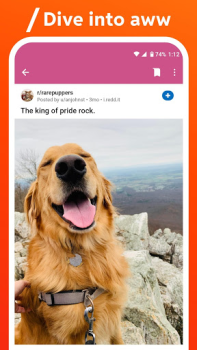 Descargar Reddit Noticias y revistas para Android captura de pantalla 5