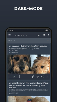 Descargar BaconReader for Reddit Noticias y revistas para Android captura de pantalla 2