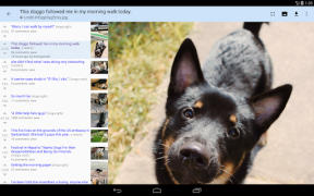 Descargar rif is fun for Reddit Noticias y revistas para Android captura de pantalla 7