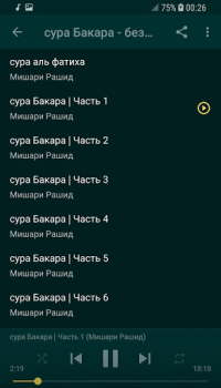 Descargar сура Бакара без интернета Мишари Рашид Estilo de vida para Android captura de pantalla 2
