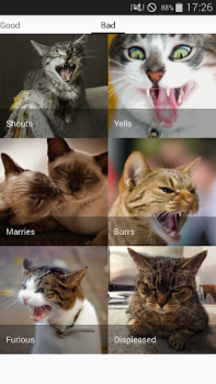 Descargar Cat sounds - play with cats Entretenimiento para Android captura de pantalla 4