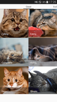 Descargar Cat sounds - play with cats Entretenimiento para Android captura de pantalla 5