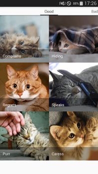Descargar Cat sounds - play with cats Entretenimiento para Android captura de pantalla 6