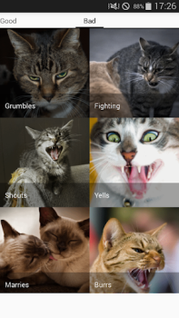 Descargar Cat sounds - play with cats Entretenimiento para Android captura de pantalla 7