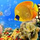 Descargar  Acuario Fondos Animados