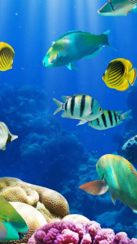Acuario Fondos Animados