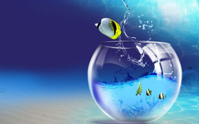 Acuario Fondos Animados