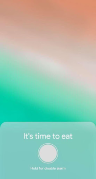 Descargar Meal Timer Salud y estado fisico para Android captura de pantalla 2