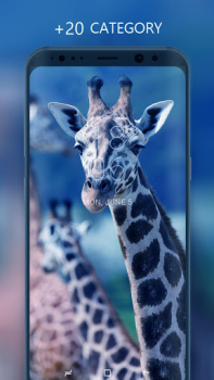 Descargar Fondos de pantalla Personalización para Android captura de pantalla 2