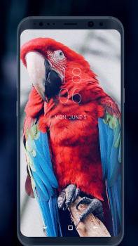 Descargar Fondos de pantalla Personalización para Android captura de pantalla 6