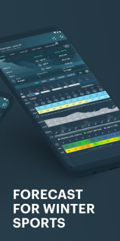Descargar Windy.app - vientos y oleajes Clima para Android captura de pantalla 4