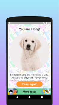 Descargar ¿Eres un gato o un perro? exam Entretenimiento para Android captura de pantalla 4
