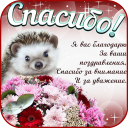 Descargar  Открытки и Картинки Спасибо и Благодарю