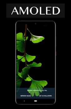 Descargar Auto AMOLED Wallpapers - Daily Personalización para Android captura de pantalla 3