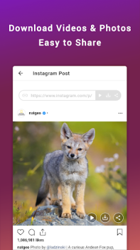 Descargar Friendly For Instagram Social para Android captura de pantalla 3