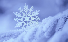 Descargar Falling Snow Live Wallpaper (fondo vivo) Personalización para Android captura de pantalla 4
