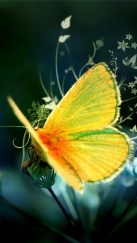 Descargar Fondos Animados de Mariposas Personalización para Android captura de pantalla 3