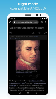 Descargar Kiwi Browser - Fast & Quiet Comunicación para Android captura de pantalla 3