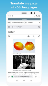 Descargar Kiwi Browser - Fast & Quiet Comunicación para Android captura de pantalla 5