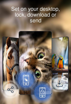 Descargar Hermosos fondos de pantalla 4k Personalización para Android captura de pantalla 4
