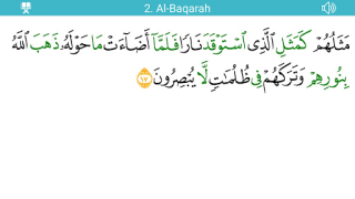 Descargar Moon Lamp Qur'an Libros y referencia para Android captura de pantalla 4