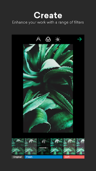 Descargar EyeEm - Cámara y foto filtros Foto para Android captura de pantalla 3