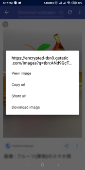 IDM - Descargador de Archivos