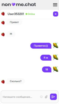 Descargar Анонимный чат [NoName.Chat] Fechado para Android captura de pantalla 3