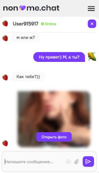 Descargar Анонимный чат [NoName.Chat] Fechado para Android captura de pantalla 4
