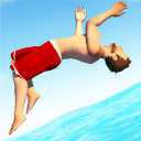 Descargar  Flip Diving