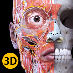 Logotipo Anatomía - Atlas 3D
