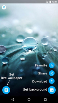 Descargar Diente de león fondo animado Personalización para Android captura de pantalla 6