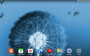 Descargar Diente de león fondo animado Personalización para Android captura de pantalla 7