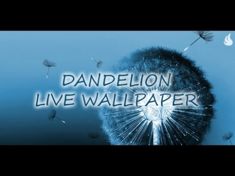 Descargar Diente de león fondo animado Personalización para Android captura de pantalla 8