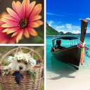 Descargar  Foto Collage Editor