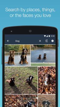 Descargar Amazon Photos Foto para Android captura de pantalla 4