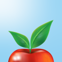 Descargar  Diario de alimentos