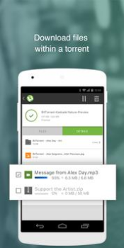 µTorrent®: descargar torrents