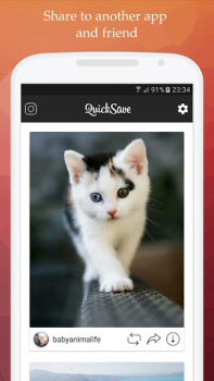 Descargar QuickSave for Instagram Foto para Android captura de pantalla 4