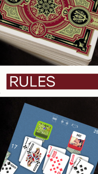 Descargar Дурак На Раздевание - Правила Игры Libros y referencia para Android captura de pantalla 3