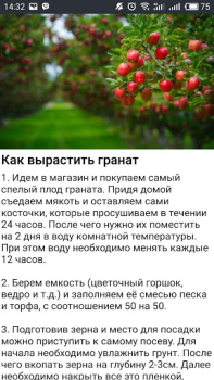 Descargar Дача и огород Хитрости Советы Libros y referencia para Android captura de pantalla 3