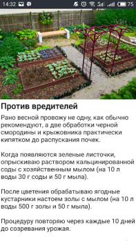 Descargar Дача и огород Хитрости Советы Libros y referencia para Android captura de pantalla 6