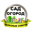 Descargar  Сад и огород Полезные советы