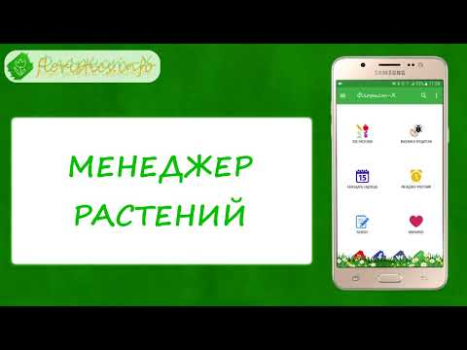 Всё о растениях и цветах