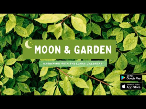 Descargar Luna & Jardín Estilo de vida para Android captura de pantalla 8
